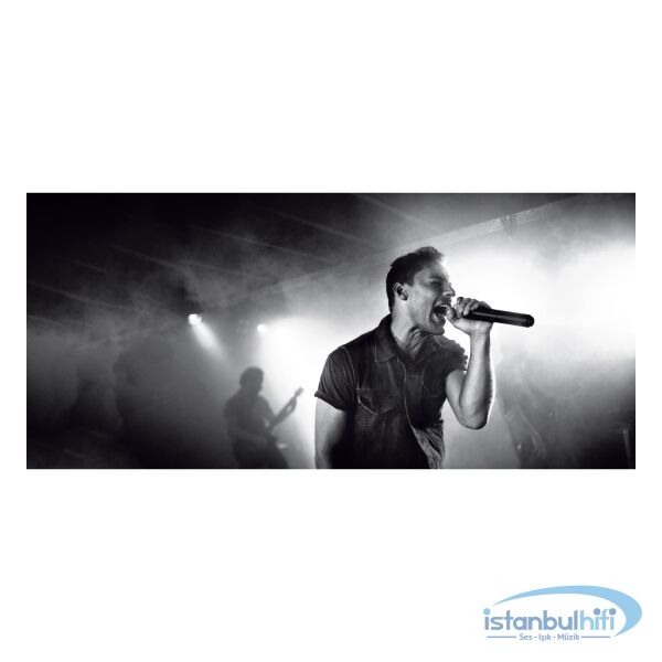 Shure BLX288/SM58 Çift Kablosuz El Mikrofonu Sistemi