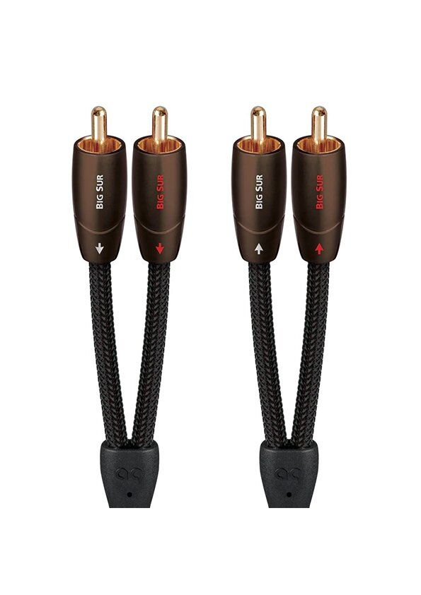 AudioQuest Big Sur RCA Kablo 0,6 m