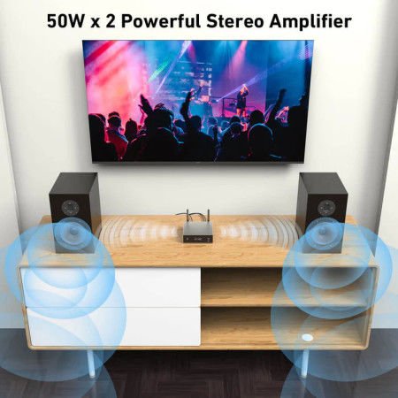 Arylic A50+ 2x50W Streaming Amplifikatör