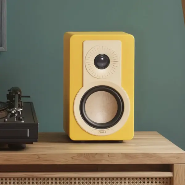 Dali Kupid Raf Tipi Pasif Haparlör Çift